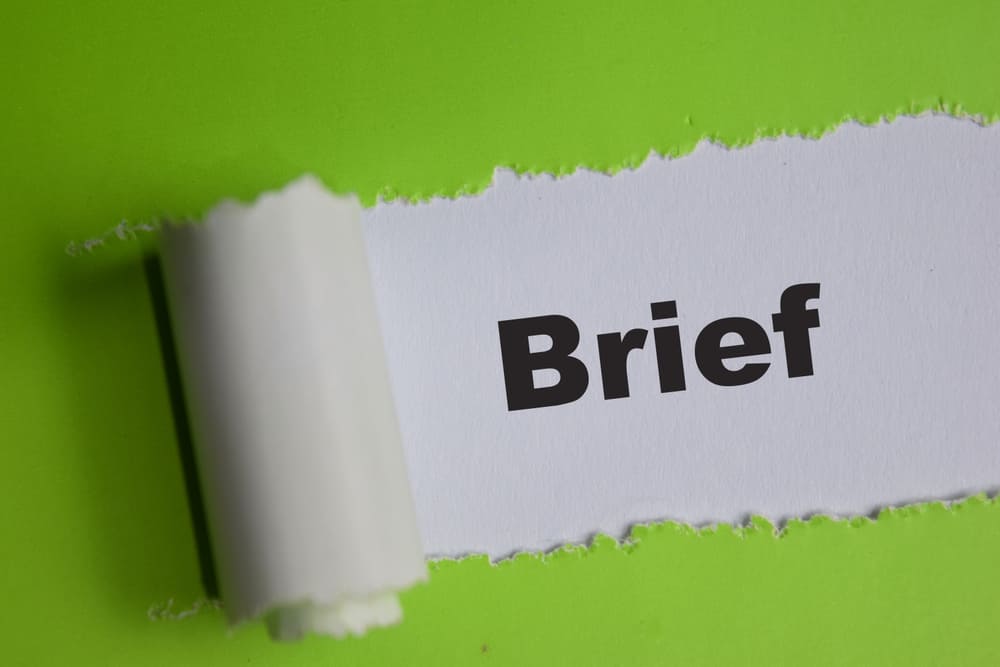 brief publicitario brief publicitario